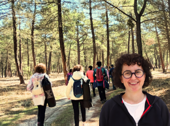 Portafolios camina y medita 350x260