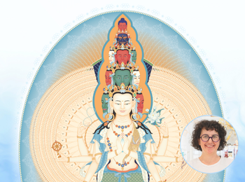 Portafolios NYUNGNE 350x260