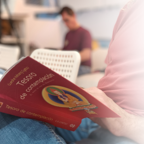 pf4 500x500 pf4 500x500