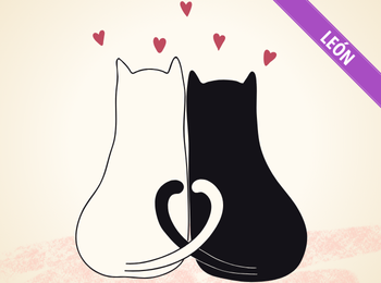 Portafolios LEON feb26 350x260