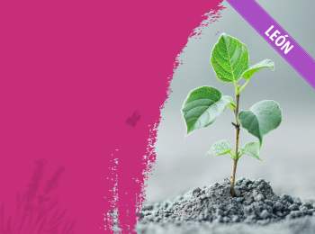 Portafolios LEON mar26 350x260 Portafolios LEON mar26 350x260