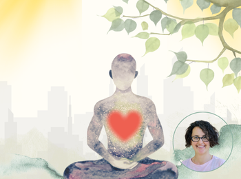 Portafolios refugio 26 350x260