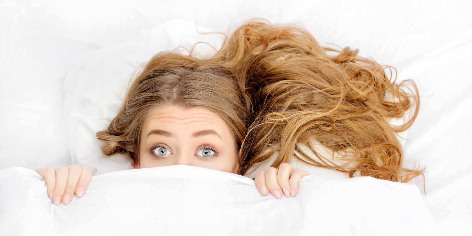 slider 7 feb 26 (1600 × 800 px)