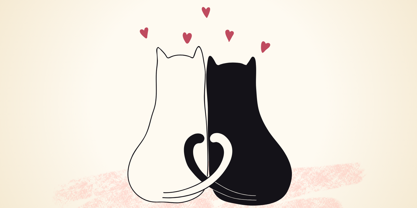 slider leon feb26 (1600 × 800 px)