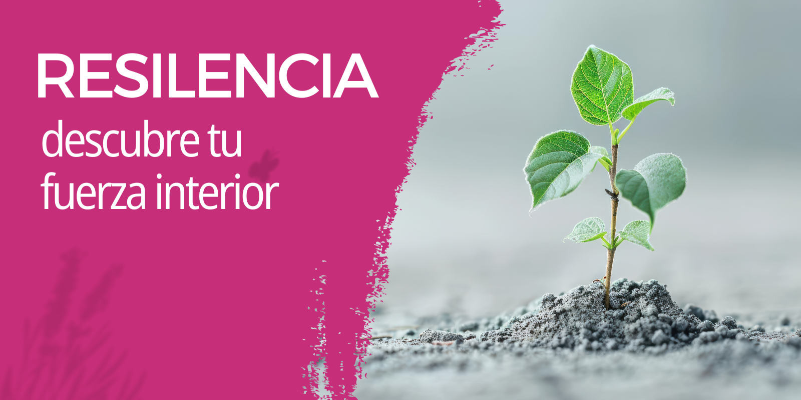 slider leon mar26 (1600 × 800 px)