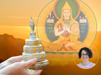 Portafolios GYOM 25 350x260