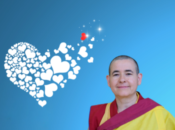 Portafolios guen rigma 26 350x260