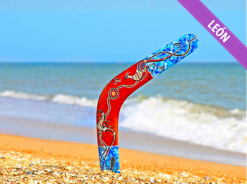 Portafolios leon my 350x260