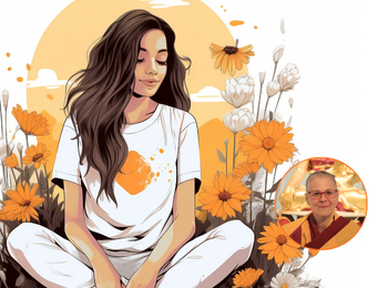 Portafolios OASIS 350x260